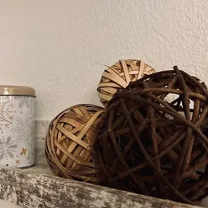 Appartement Cozy'wood, Brest